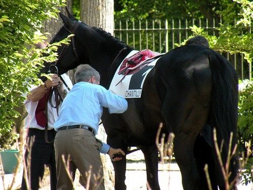 Arc 2010 + prix de Diane 2011.. 20110703c5-AFabreSellantMutualTrust