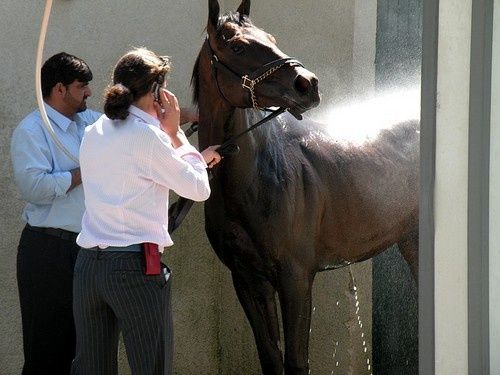 Arc 2010 + prix de Diane 2011.. 20110703c5-Neebras2