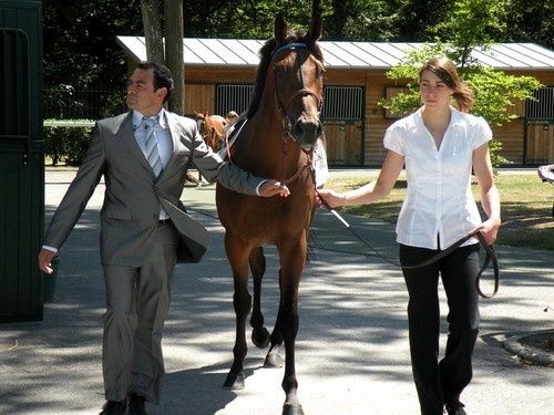 Arc 2010 + prix de Diane 2011.. 20110703c5-Venomous