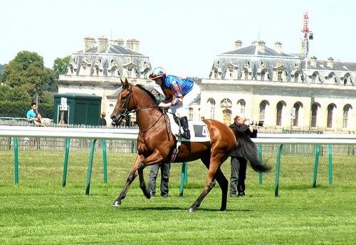 Arc 2010 + prix de Diane 2011.. 20110703c5-Zoffany
