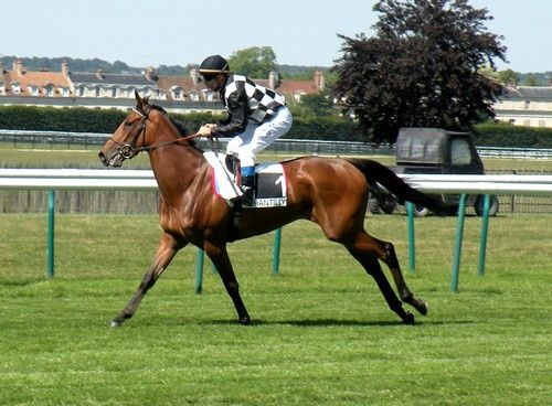 Arc 2010 + prix de Diane 2011.. 20110703c6-BeatriceAurore