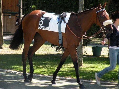 Arc 2010 + prix de Diane 2011.. 20110703c6-PeintureAbstraite