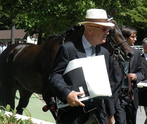 Arc 2010 + prix de Diane 2011.. 20110703c6-x-ARoyerDupre