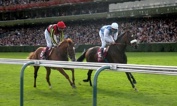 Saison 2012 Solemia_Orfevre