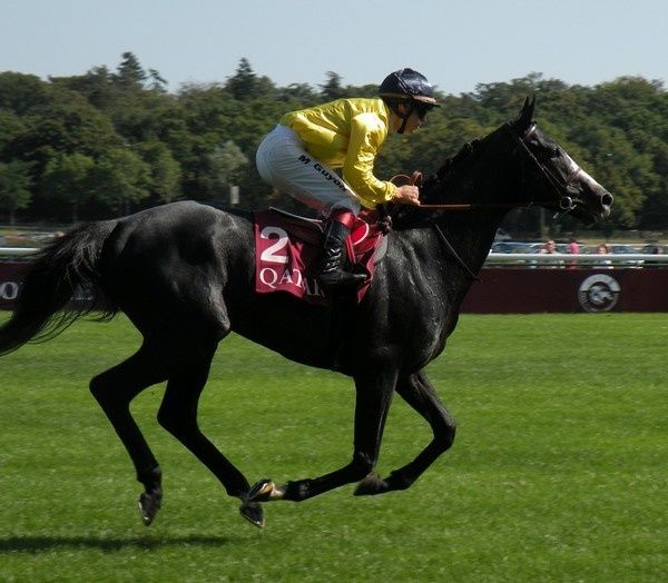 Saison 2012 C3-Meandre
