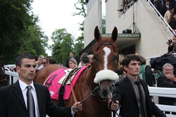 Saison 2012 C5-FrenchFifteen