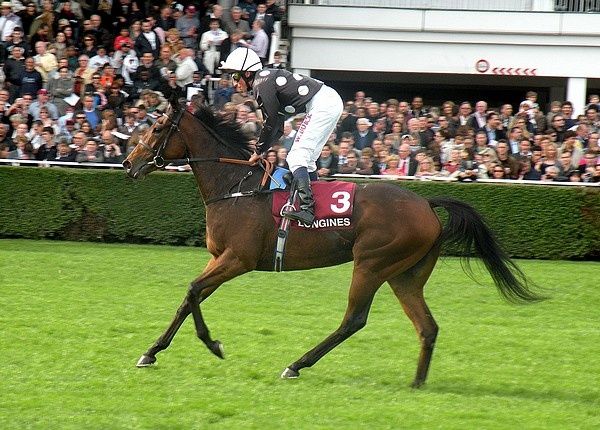 Saison 2012 C5-IzziTop