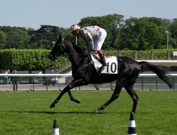 Saison 2012 C6-Dabirsim