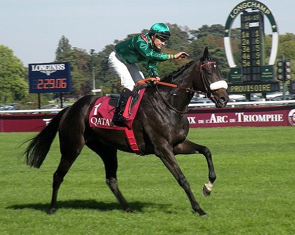 Saison 2012 C6-Shareta