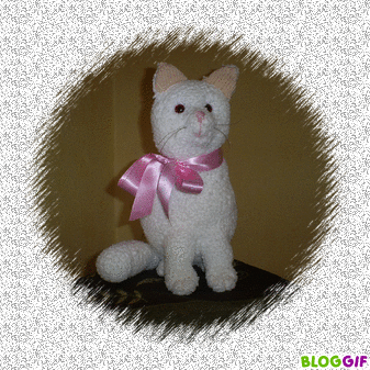 chat blanc