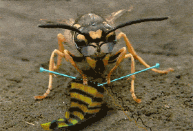 tricot-340671e6f.gif