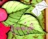 15 duo de feuilles