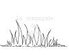 herbe