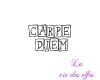 carpe diem