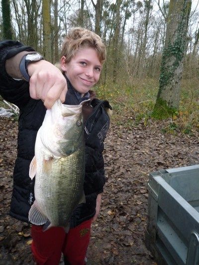 bass math