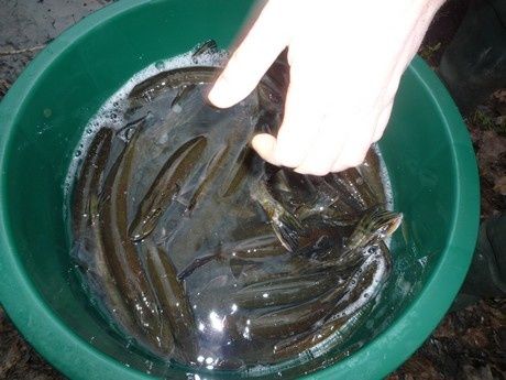 photo-3.jpg