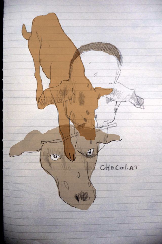 chocolat.jpg