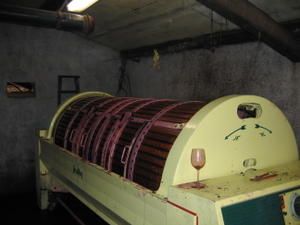 IMG_6127.jpg