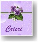 Cricri-violettes.JPG
