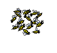 abeilles merci