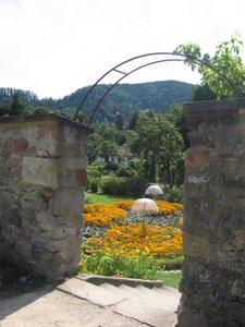 IMG_0186.jpg