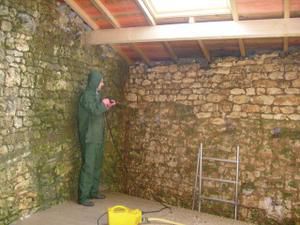 Nettoyage des murs en pierre - La Ruche