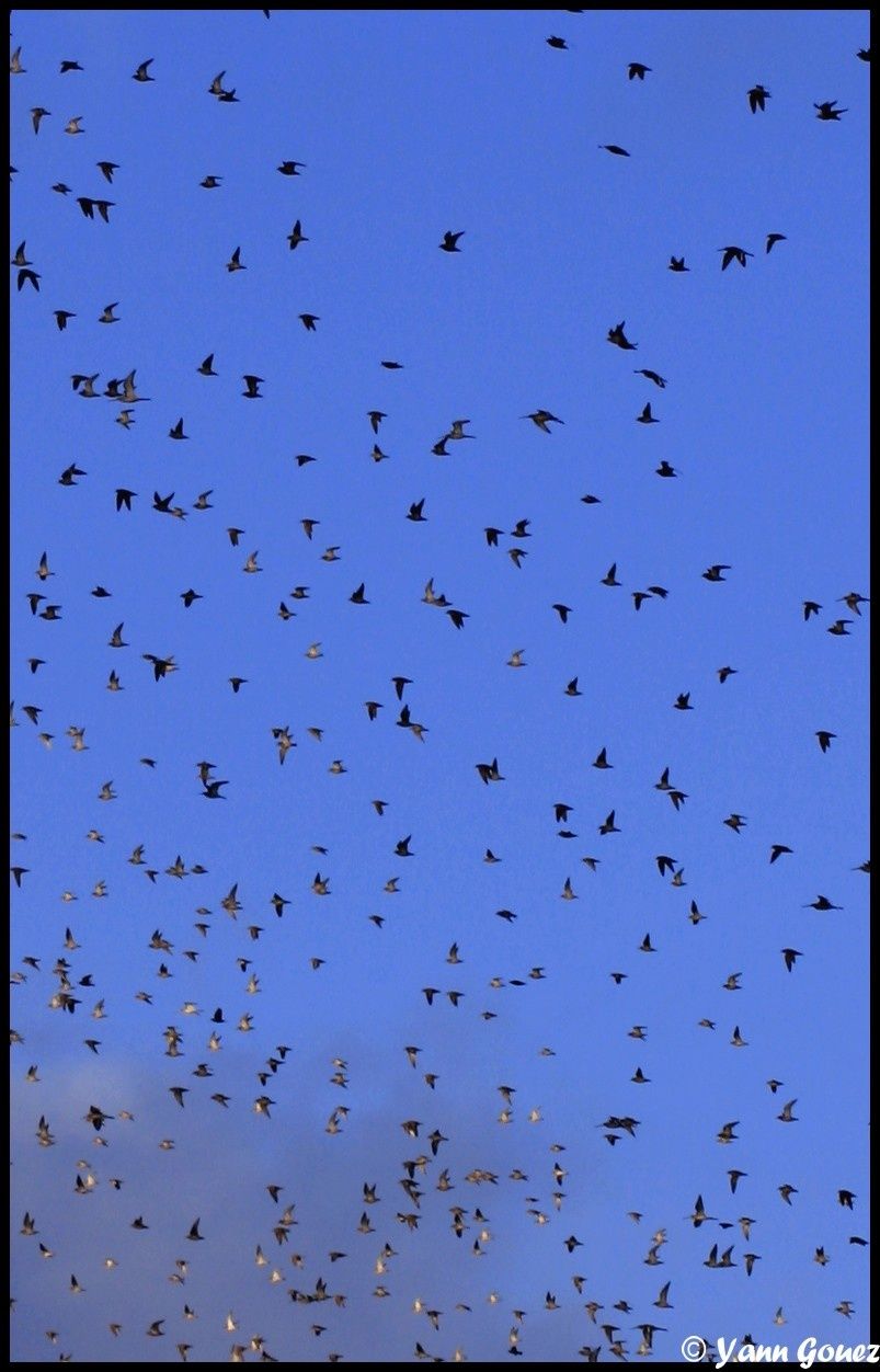 Photo 110nlkkj