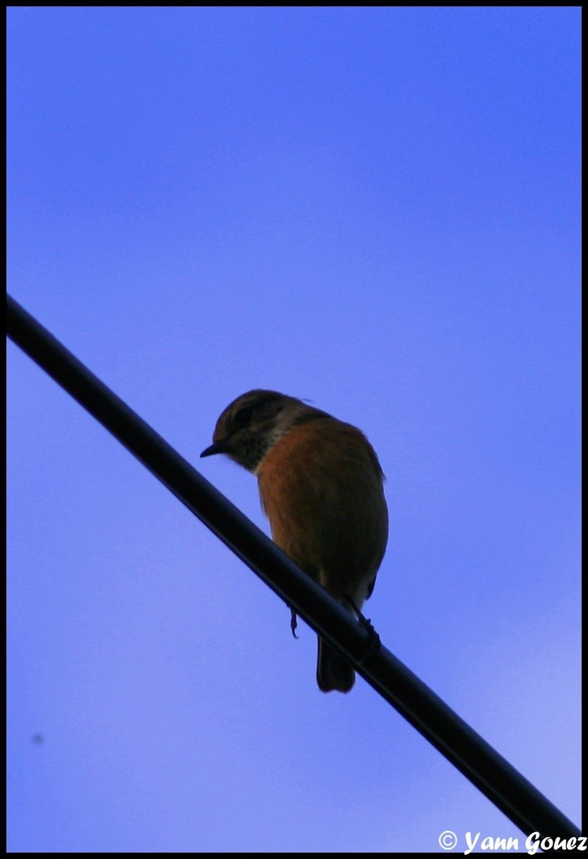 Photo 132kjo