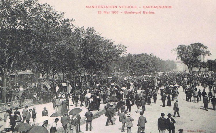 manifestation viticole de 1907 - 05