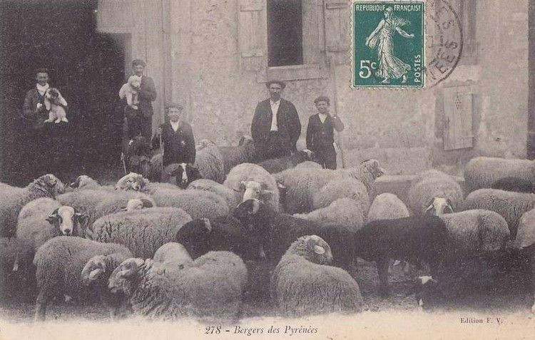 Bergers pyreneens en 1915