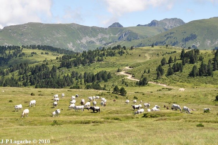 Plateau de Beille 03