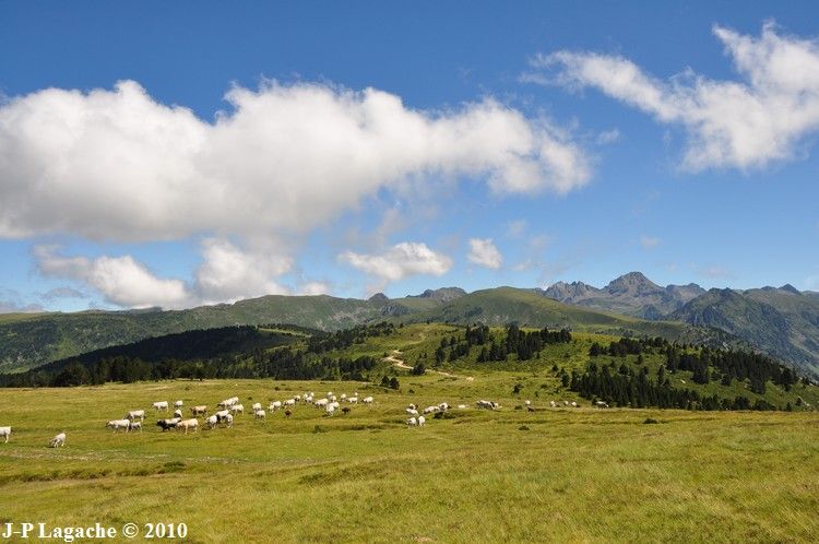 Plateau de Beille 04