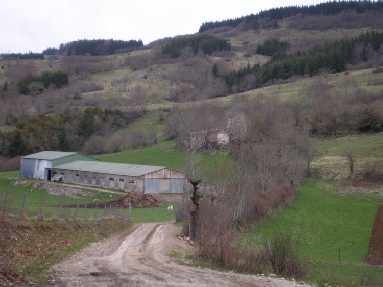 Vie de berger 019