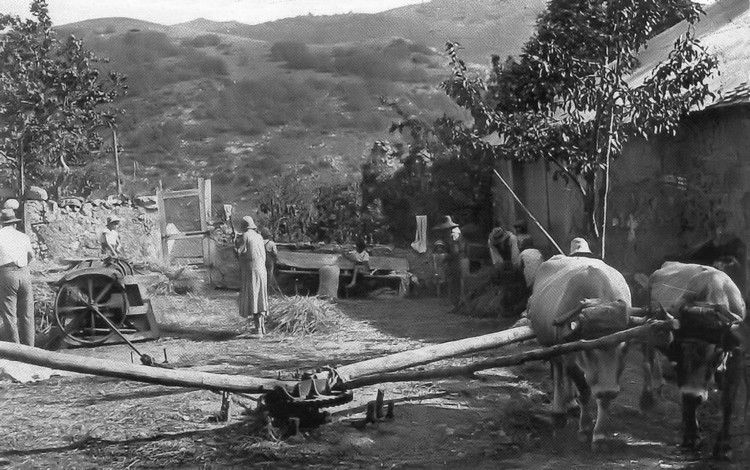 agriculture de montagne en Aude014
