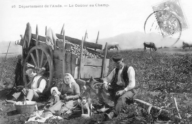 agriculture de montagne en Aude027