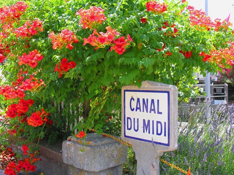 canal du Midi 1017