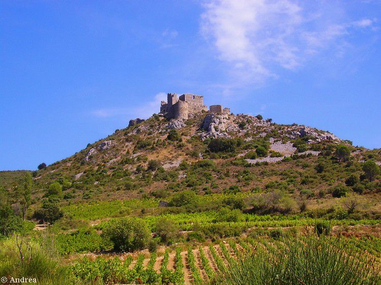 Chateau d'Aguilar 33