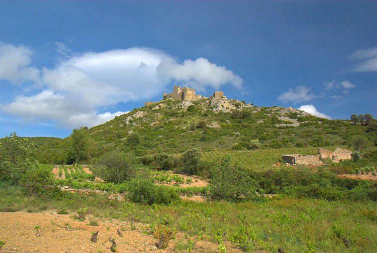 Chateau d'Aguilar 55
