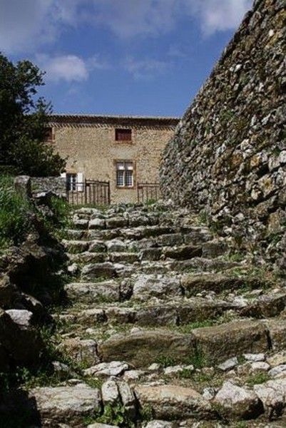 chateau de Bouisse 027