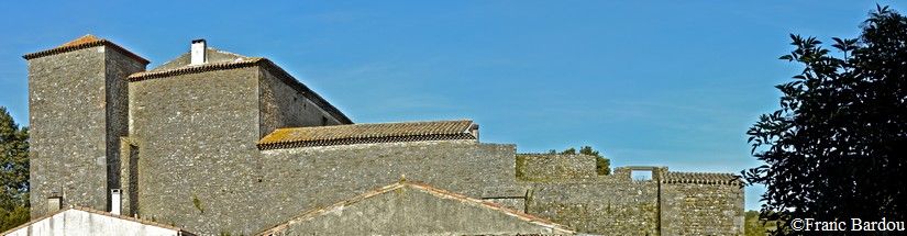 chateau de Bouisse 03