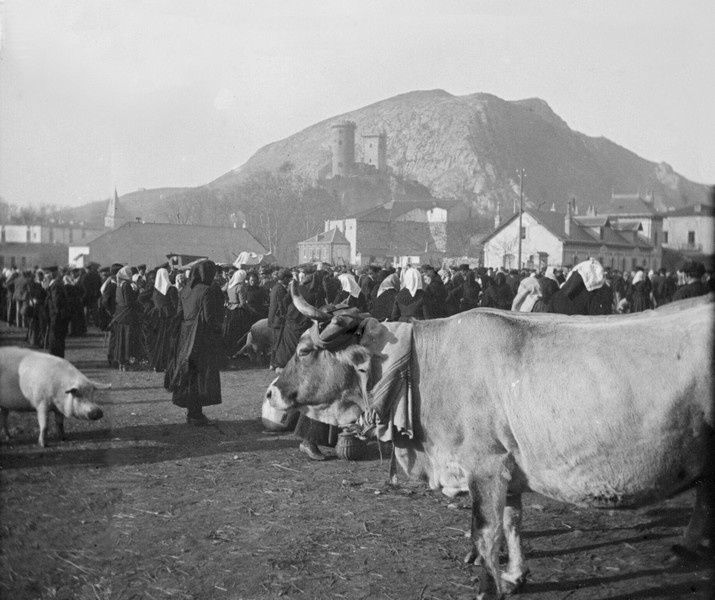 champ de foire aux boeufs à Foix en 1903 bis