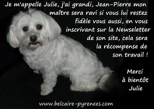 Julie logo janvier 2013 495x350