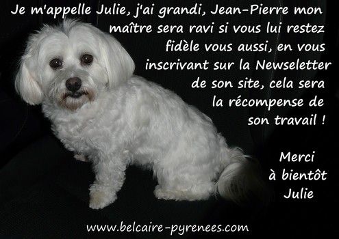 Julie logo janvier 2013 495x350