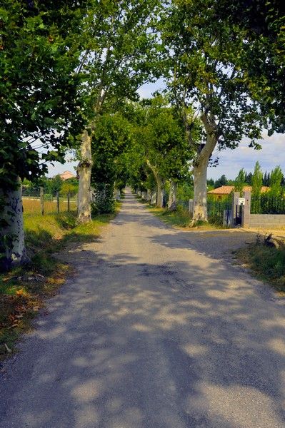 Fanjeaux 047