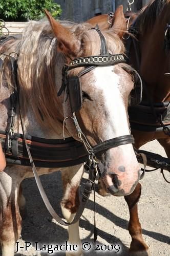 rencontre sault