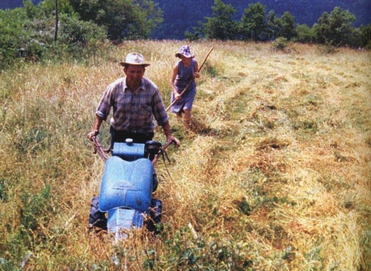 moisson en Aude001