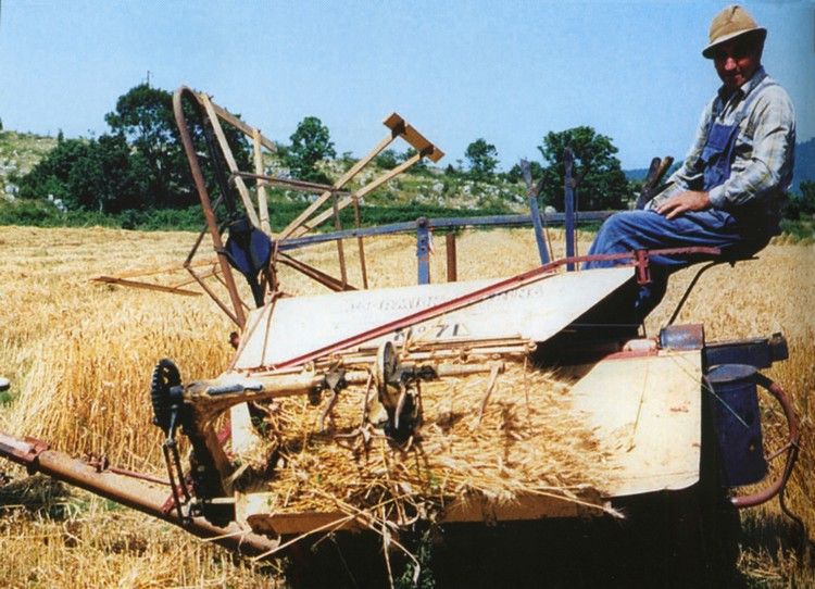 moisson en Aude003