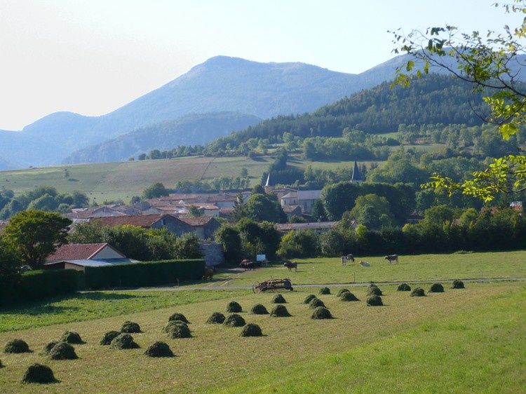 Espezel 15