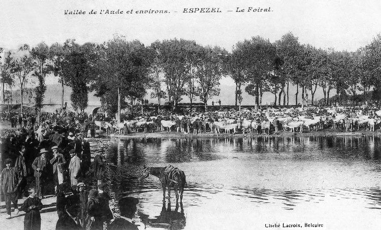 Espezel 245 foire aux bestiaux en 1906