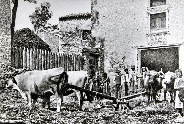 Espezel 261 en 1910